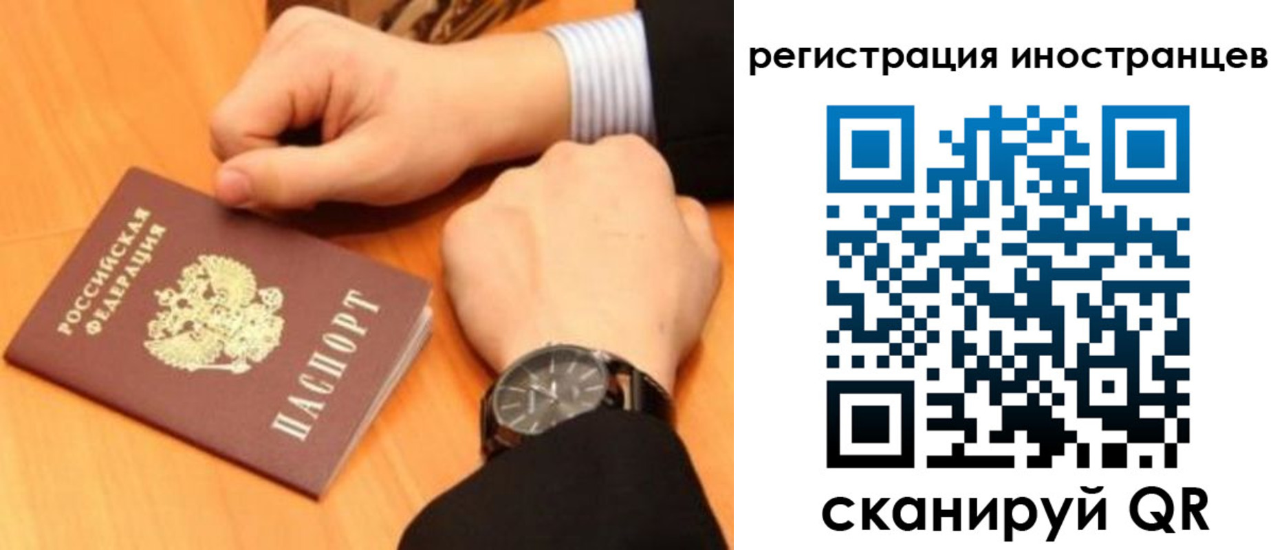 прописка гарантия в Рошале